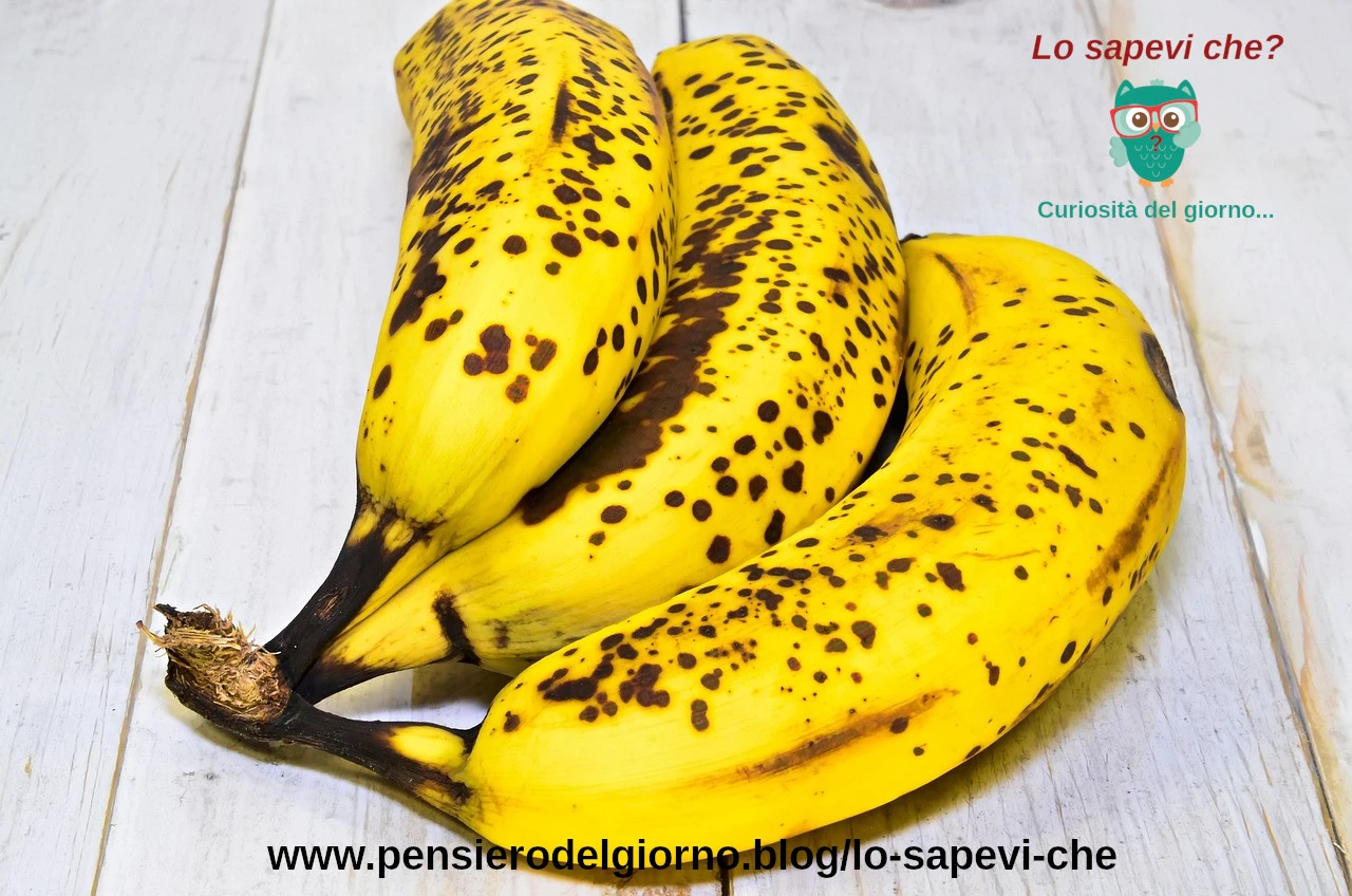 Perche-la-frutta-diventa-nera.webp