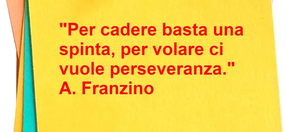 Citazione Per volare ci vuole perseveranza A. Franzino