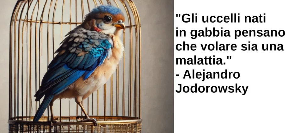 Citazione Gli uccelli nati in gabbia pensano che volare sia una malattia Jodorowsky