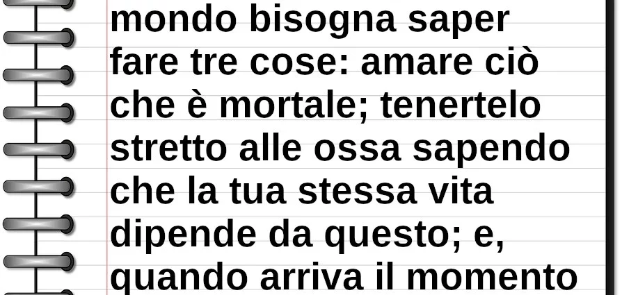 Frase di oggi Per vivere in questo mondo bisogna saper fare tre cose: amare ciò che è mortale e lasciarlo andare Mary Oliver