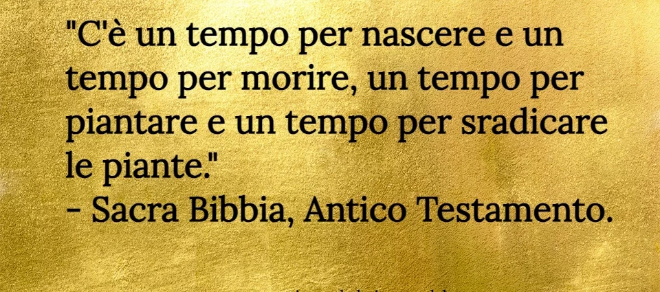 Frase di oggi C'è un tempo per nascere e un tempo per morire, un tempo per piantare Sacra Bibbia