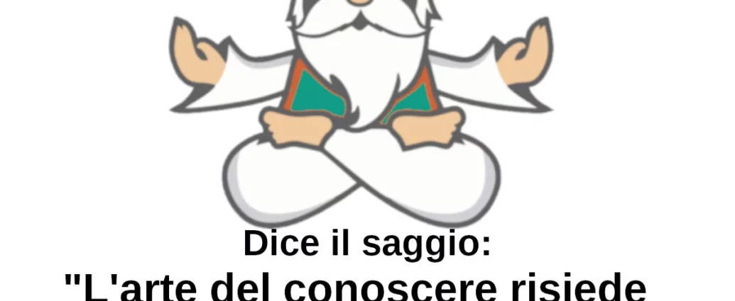 Dice il saggio L'arte del conoscere è nel sapere cosa ignorare Rumi