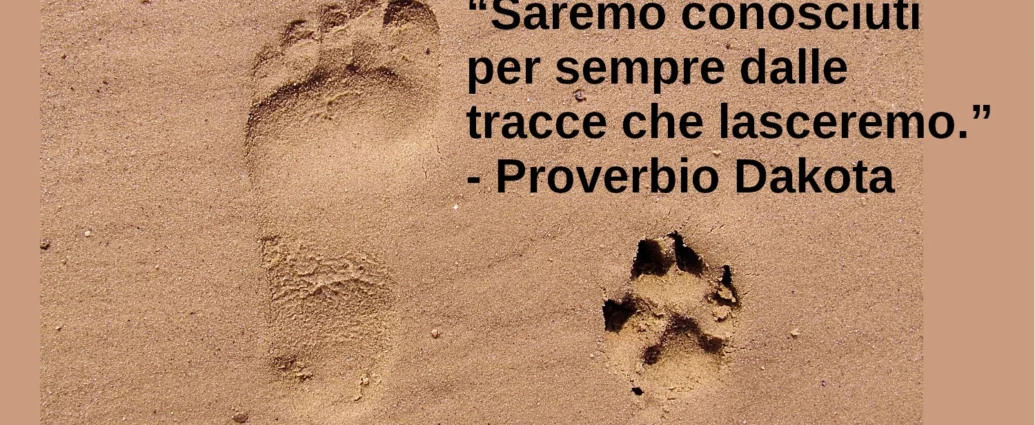 Proverbio: Saremo conosciuti per sempre dalle tracce che lasceremo.