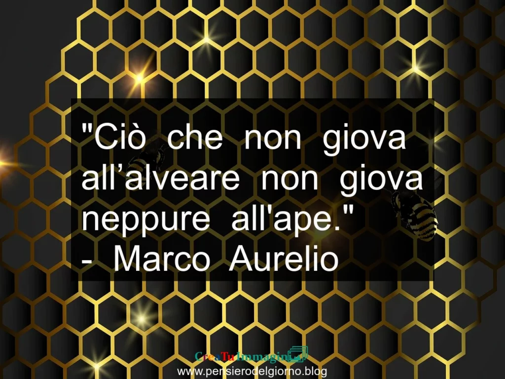 Citazione Ciò che non giova all’alveare non giova neppure all’ape. Marco Aurelio