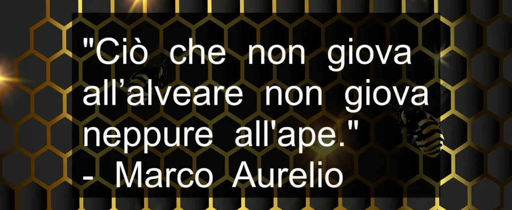 Citazione Ciò che non giova all’alveare non giova neppure all’ape. Marco Aurelio