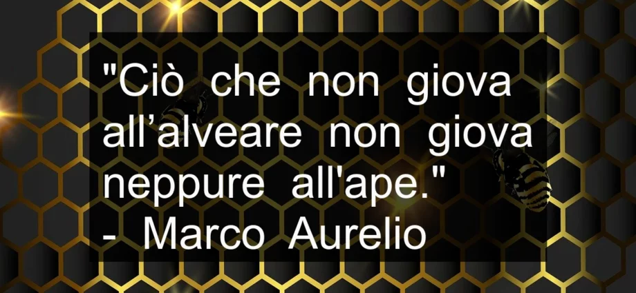 Citazione Ciò che non giova all’alveare non giova neppure all’ape. Marco Aurelio