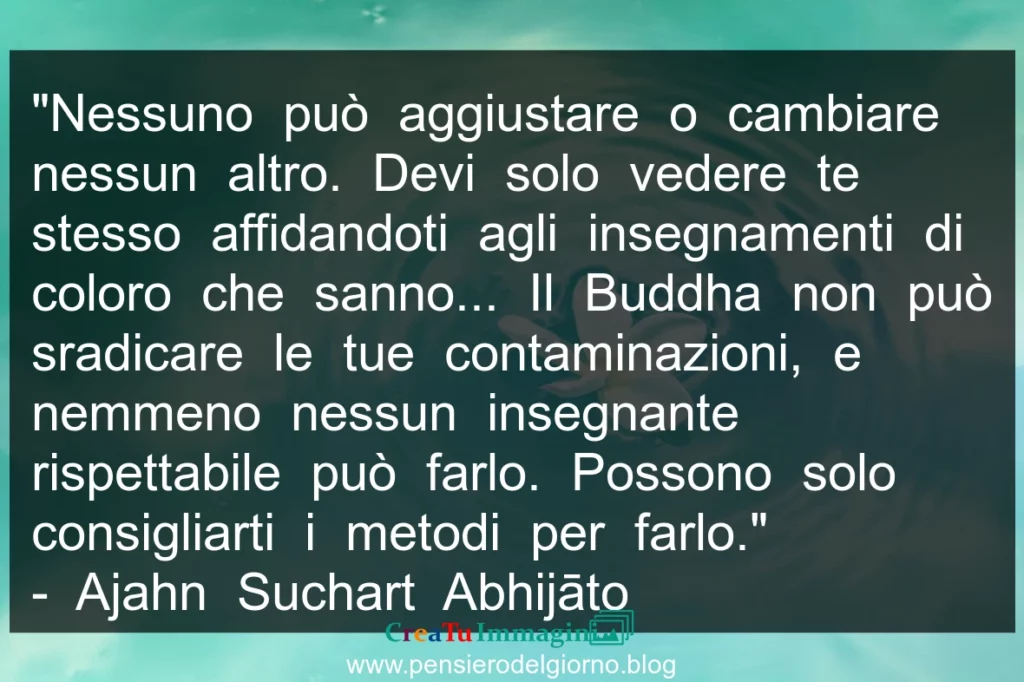 Frase buddista: Nessuno può aggiustare o cambiare nessun altro. 