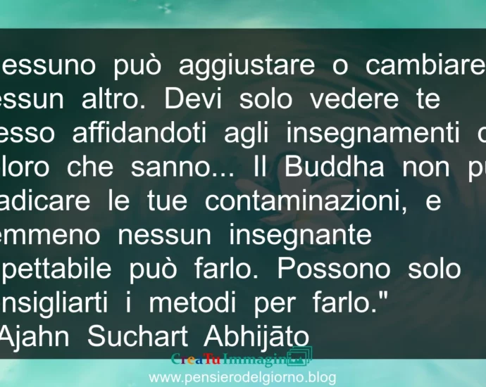 Frase buddista: Nessuno può aggiustare o cambiare nessun altro.