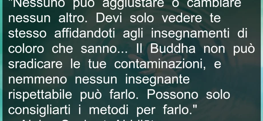 Frase buddista: Nessuno può aggiustare o cambiare nessun altro.