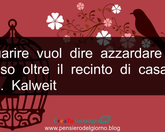 Frase di oggi: Guarire vuol dire azzardare un passo oltre il recinto di casa. H. Kalweit