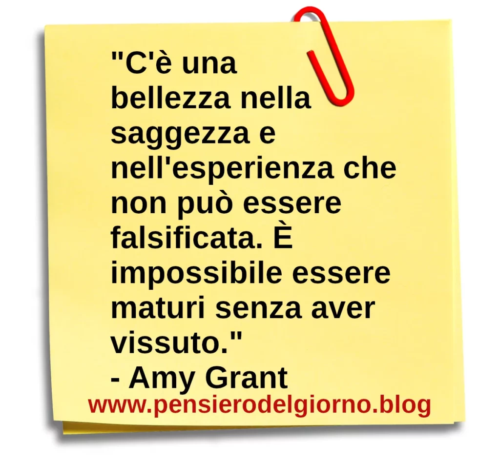 Frase di oggi: C'è una bellezza nella saggezza e nell'esperienza che non può essere falsificata. Amy Grant