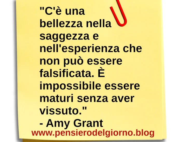 Frase di oggi: C'è una bellezza nella saggezza e nell'esperienza che non può essere falsificata. Amy Grant