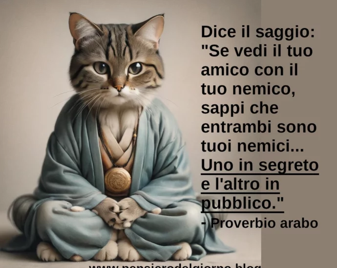 Dice un proverbio saggio: Se vedi il tuo amico con il tuo nemico, sappi che entrambi sono tuoi nemici.