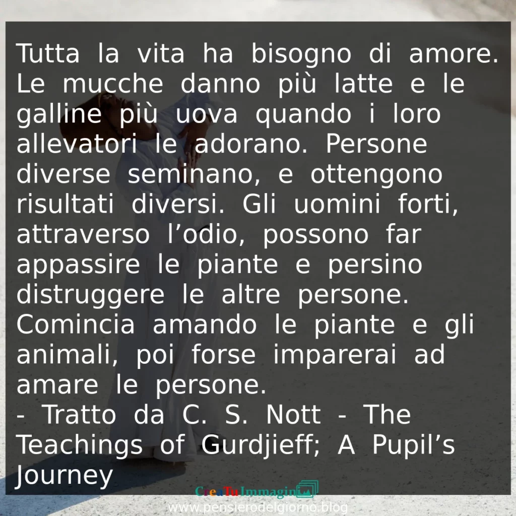 Citazione di oggi: Tutta la vita ha bisogno di amore. Gurdjieff