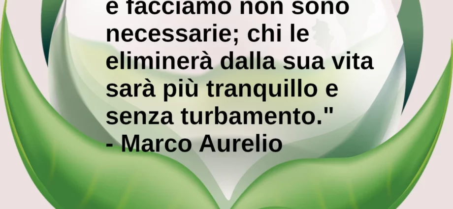 Citazione del giorno: La maggior parte delle cose che diciamo e facciamo non sono necessarie. Marco Aurelio