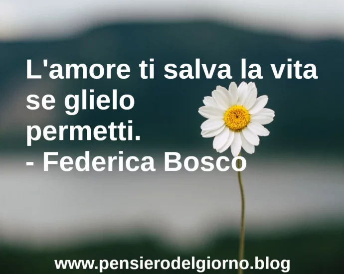 Citazione del giorno: L'amore ti salva la vita se glielo permetti. Federica Bosco