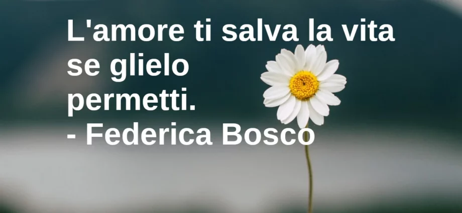 Citazione del giorno: L'amore ti salva la vita se glielo permetti. Federica Bosco